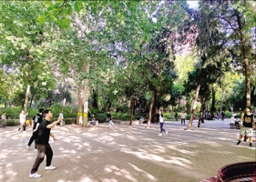 郑州生活：“公园20分钟效应”走红：年轻人新宠的放松方式
