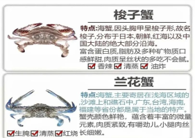 郑州生活：12种常见螃蟹的口感和最佳做法合集！