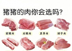 郑州生活：选择哪种猪肉你真的知道吗？